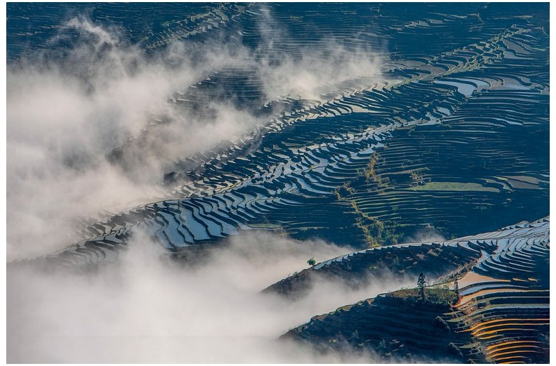 운무속 다랭이논