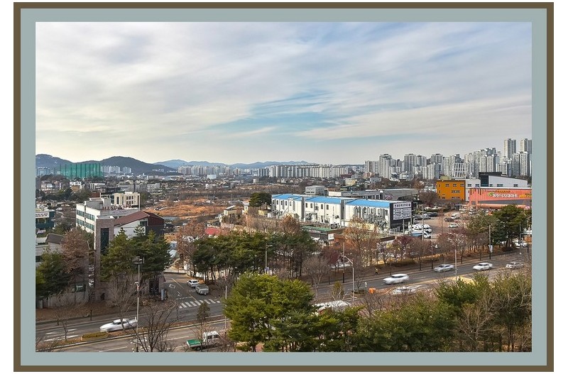 사라저가는고향