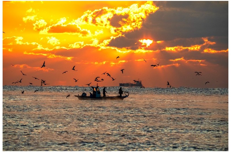오랫만에 강양항