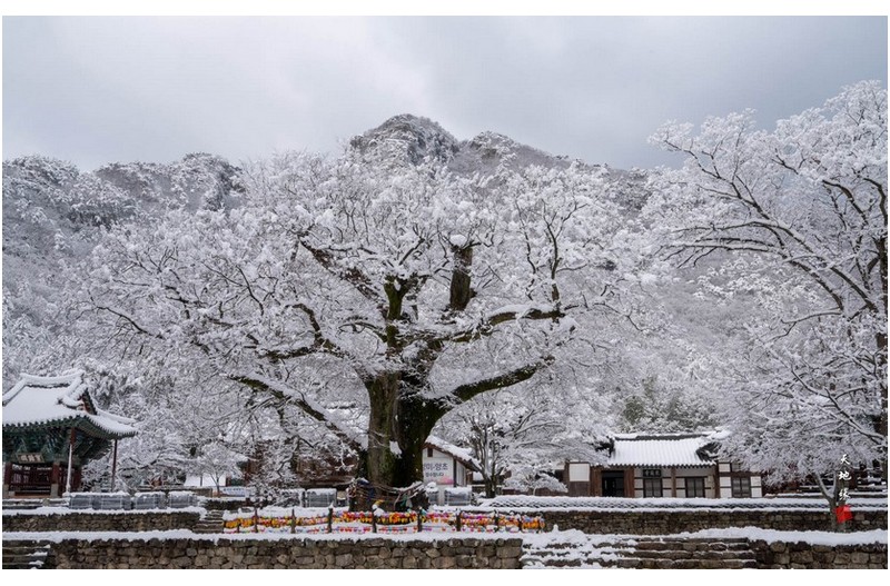 내소사셜경과 내장사우화정