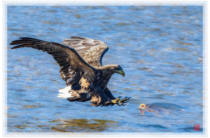 이렿게 편한세상