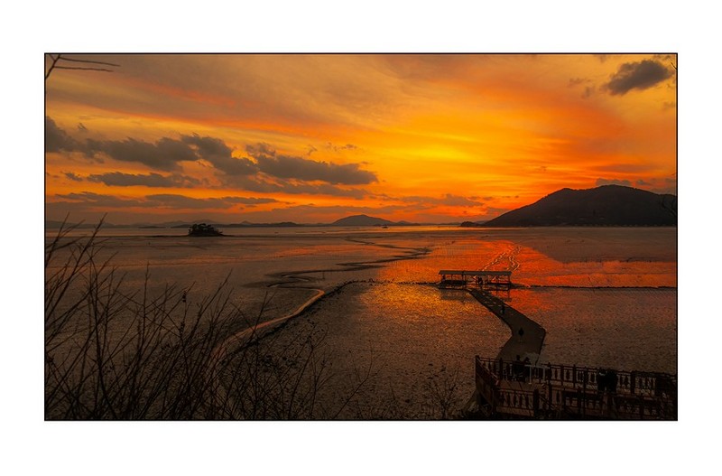 순천만의 일몰...