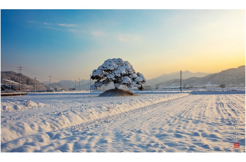 밝아오는 2025년