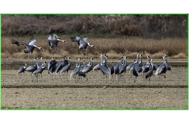 새해 모두 건강 하이소