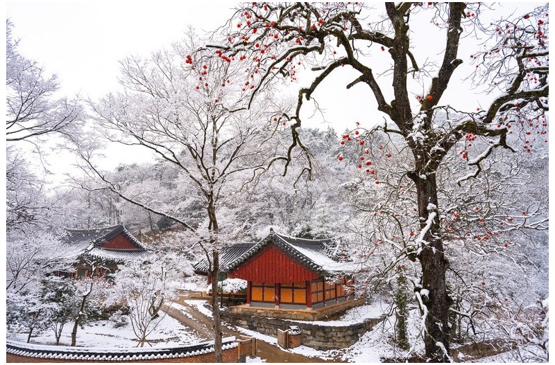 산사의 겨울