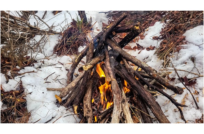 얼어 죽지 않고 살아남는 방법