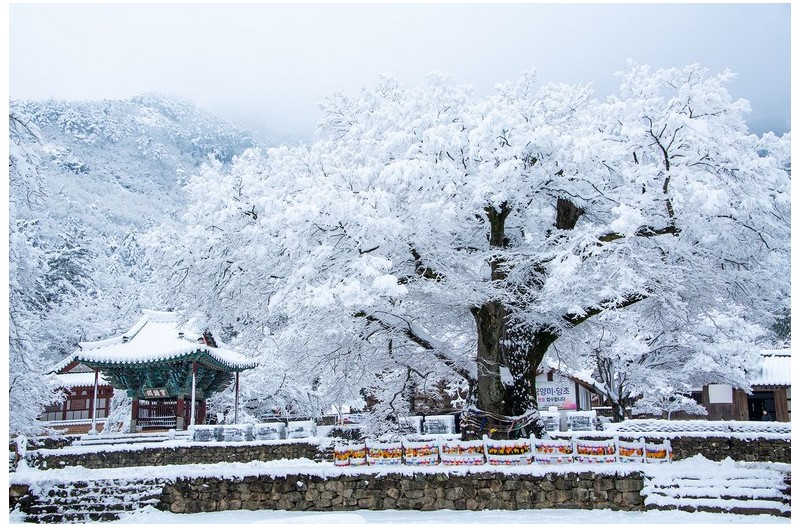 겨울 산사
