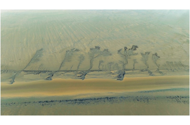 첸탄강의 모래톱