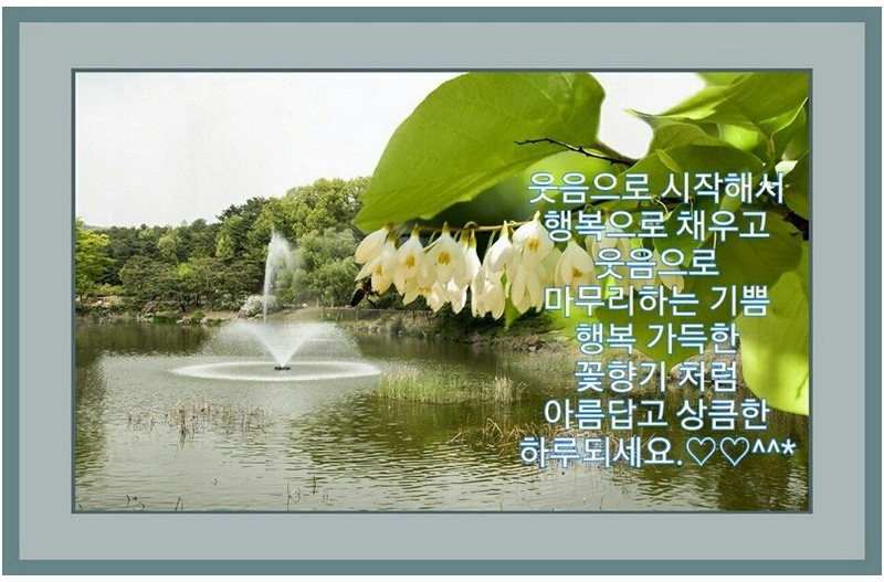 자연