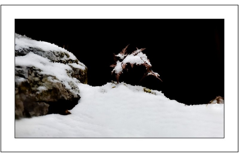 눈내리던날에...