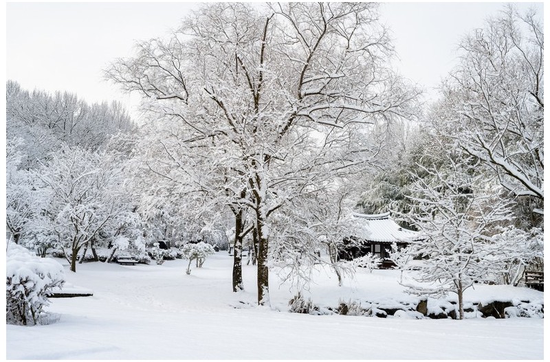 설경