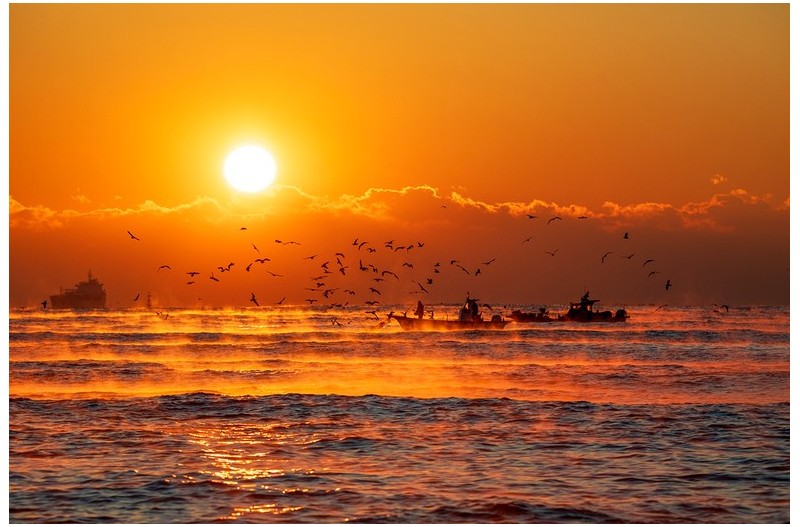 몽환속에서 맞이한 아침