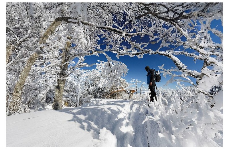 남덕유 산행길에...