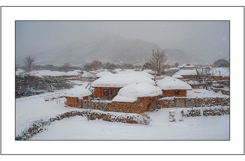 눈내리던날에...