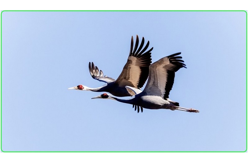 오늘 주남져수지