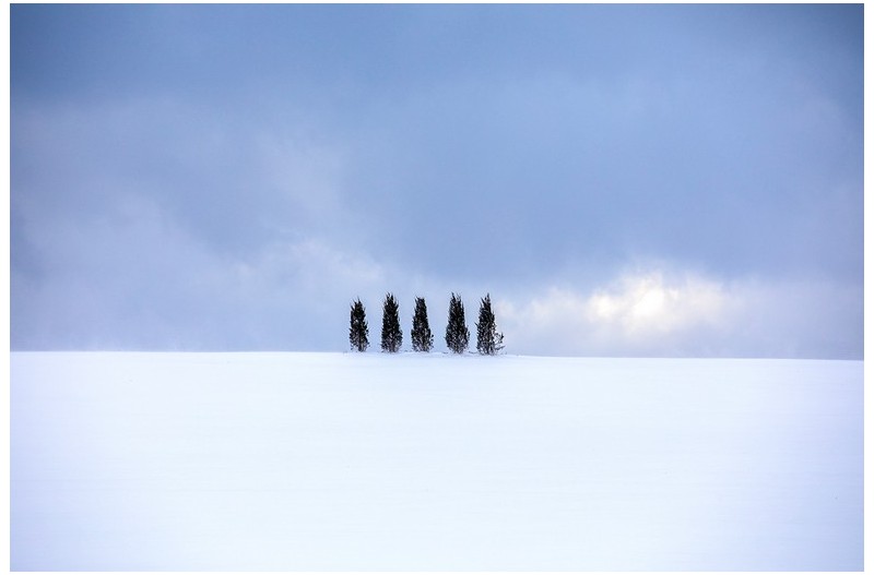 한국의 비에이 라고 해서