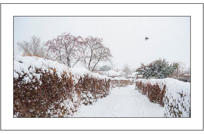 눈내리던날에....