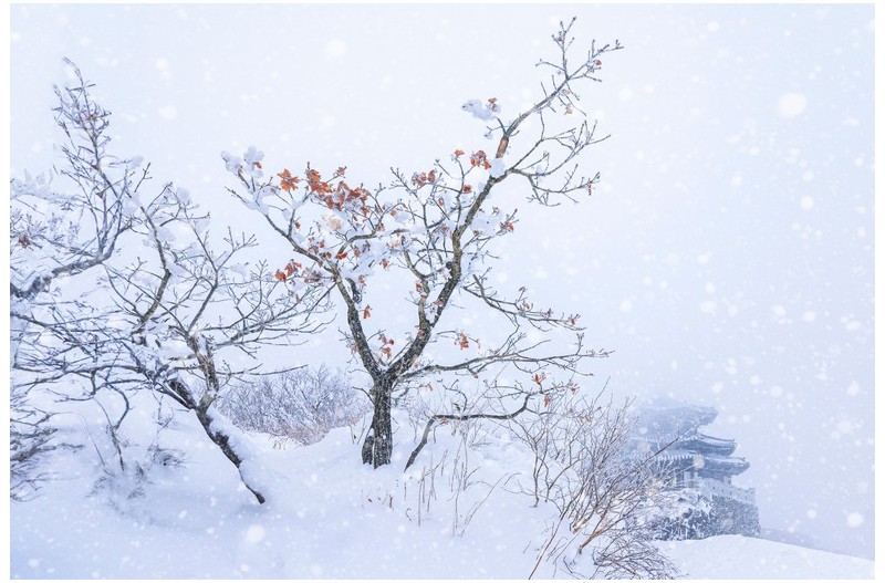 눈내리는 덕유산