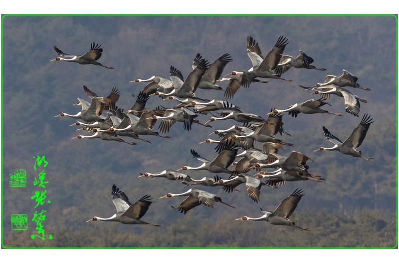 오늘주남저수지