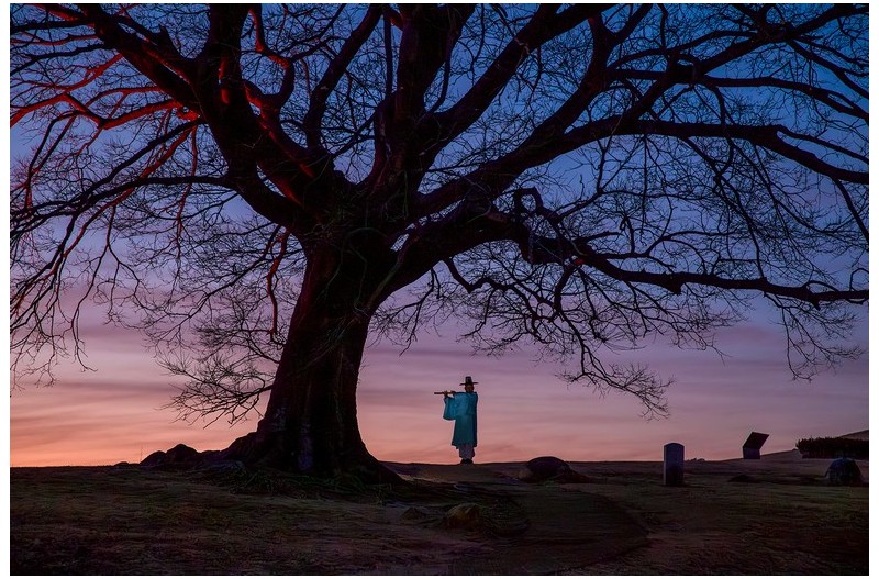 겨울 나무 아래서