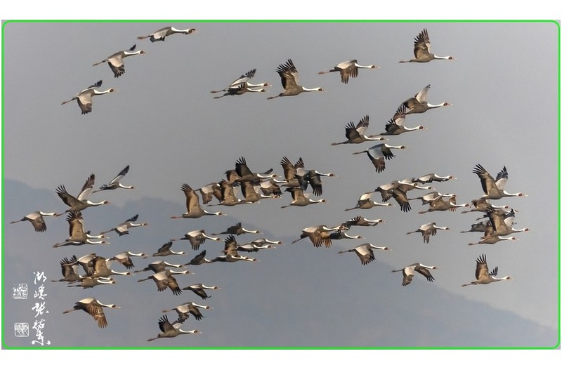 20 일주남저수지