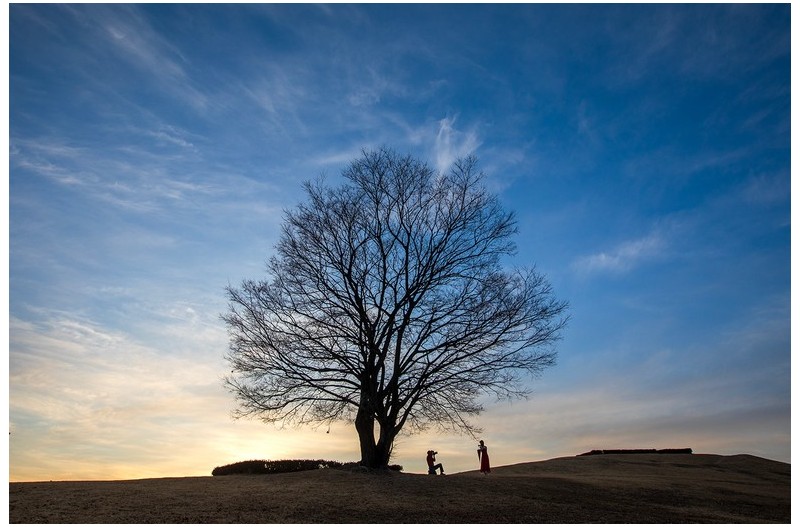 겨울 나무 아래서 2