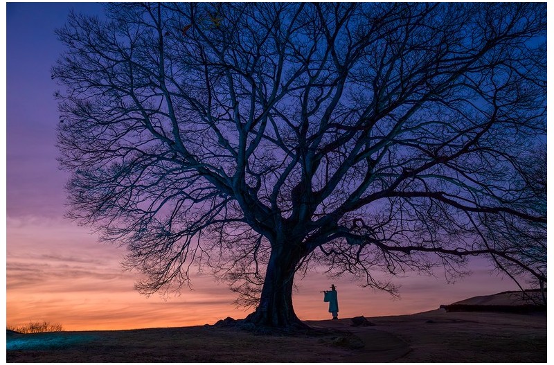 겨울 나무 아래서 3