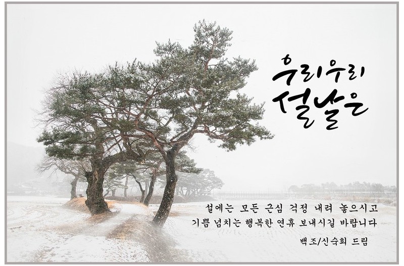 새해 복 많이 받으세요