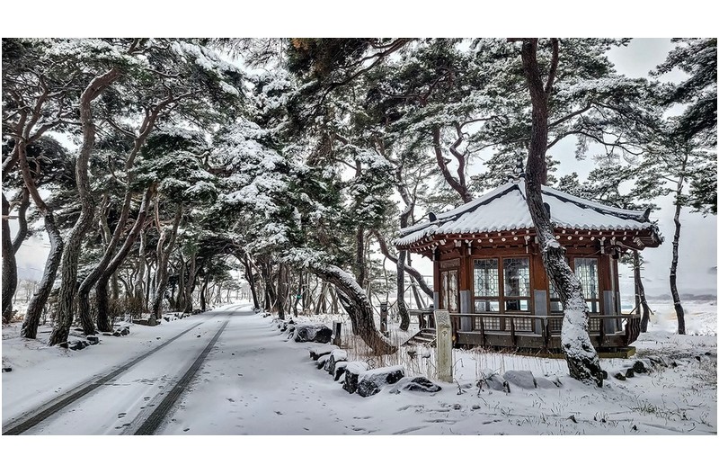 즐거운 설 날 되소서~