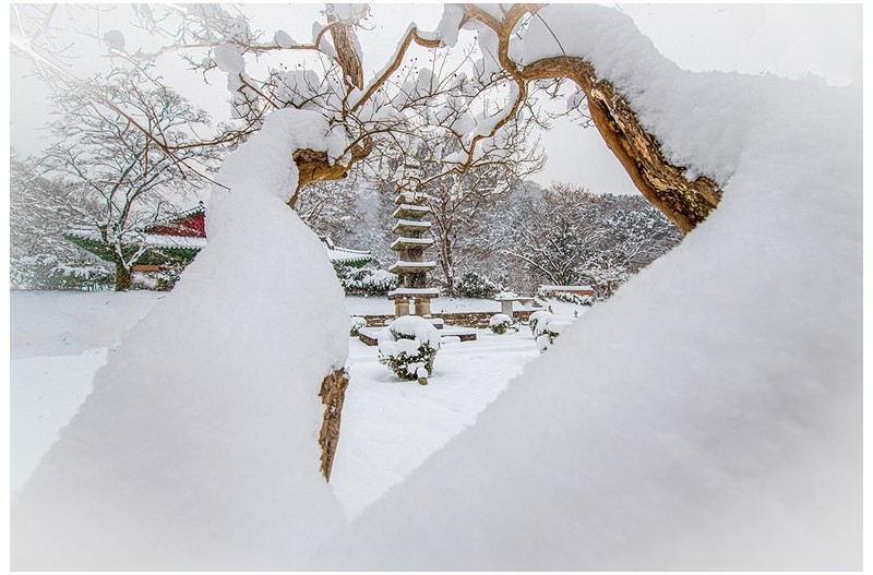 백양사(설날)