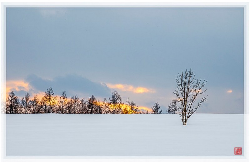 19-비에이 출사중에