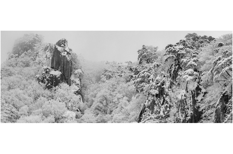 폭설이 만든 수묵화 한점