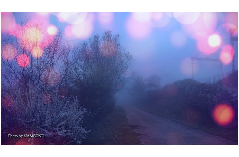 어느날 화포천에서 -----