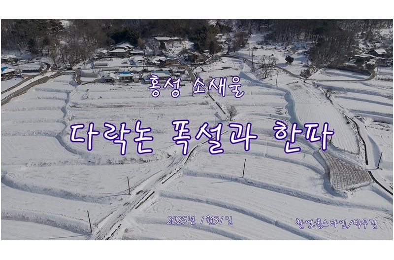 다락논폭설과한파