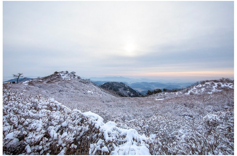황매산 설경