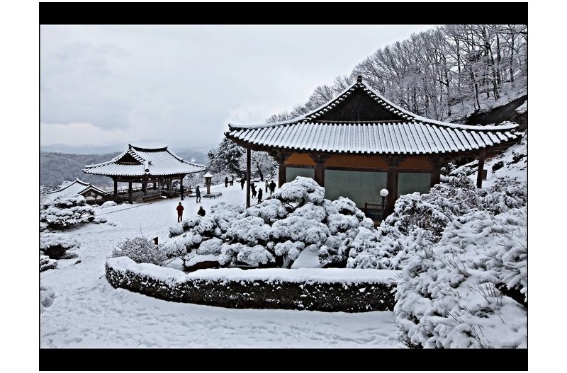 산사의 겨울