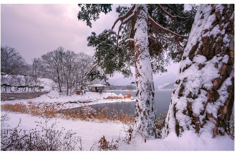 청풍정 겨울