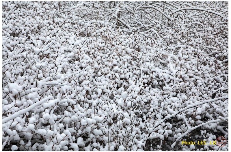 천황산에 눈이 오던 날