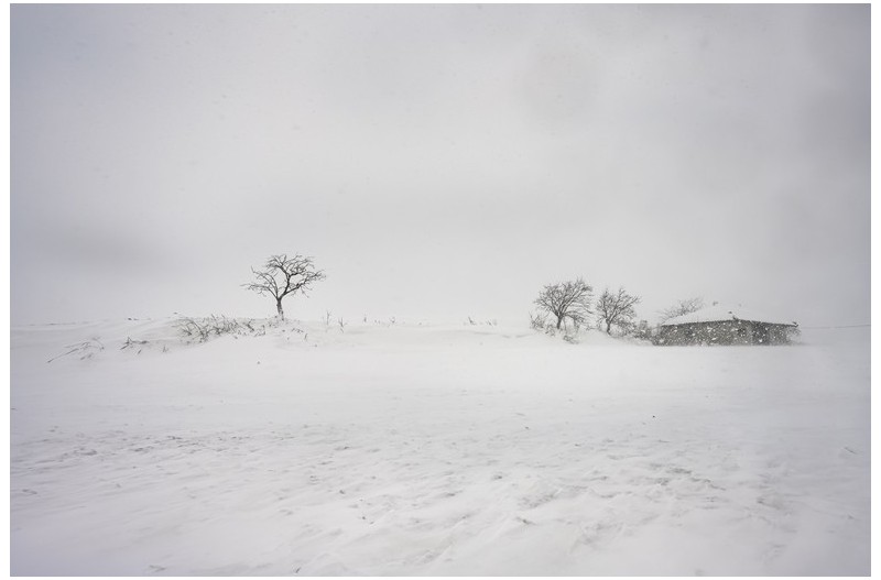 눈보라가 휘몰아치던 날