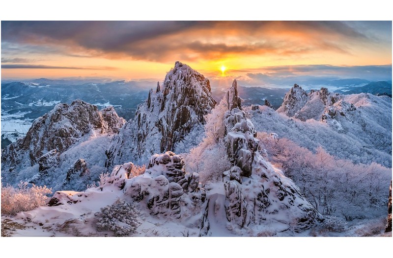 서릿꽃이 예쁘던날