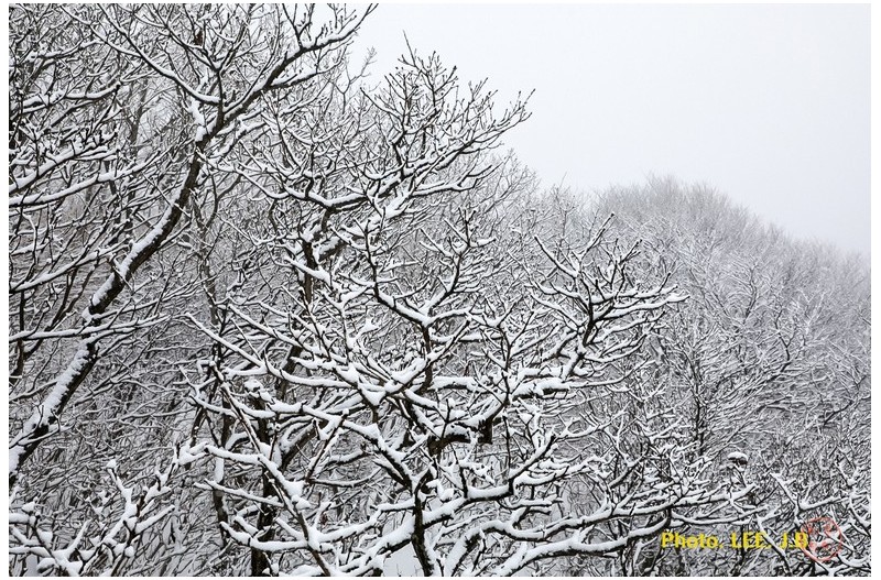 천황산에 눈이 오던 날