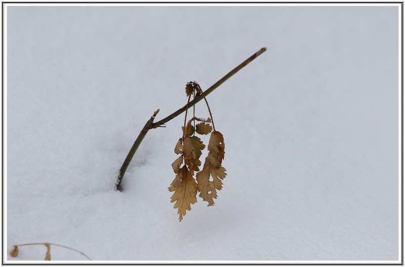 r기다림 속 회상