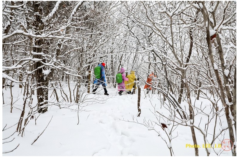 천황산 가는 길