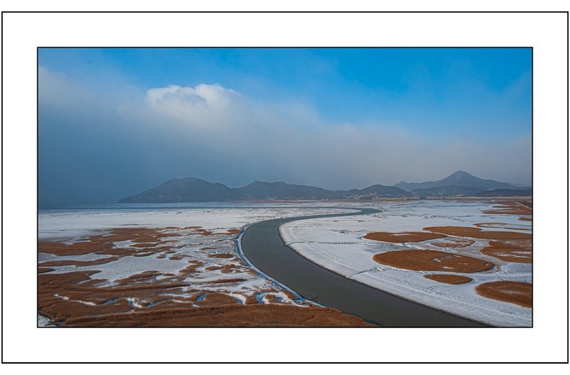 눈내린순천만,,,