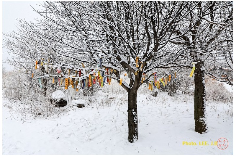 천황산에 남긴 추억들