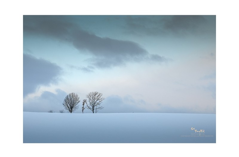 저 광활한 들판에