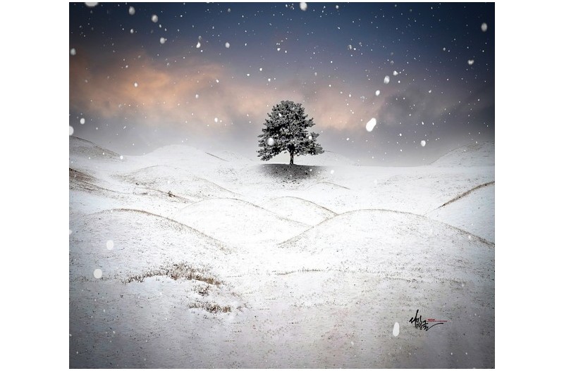 대구 눈 오던날