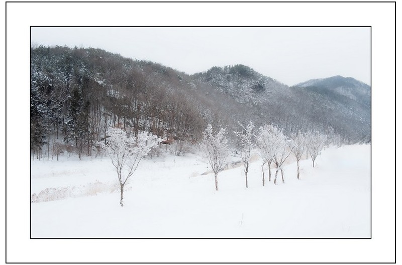 상고대가핀 풍경...