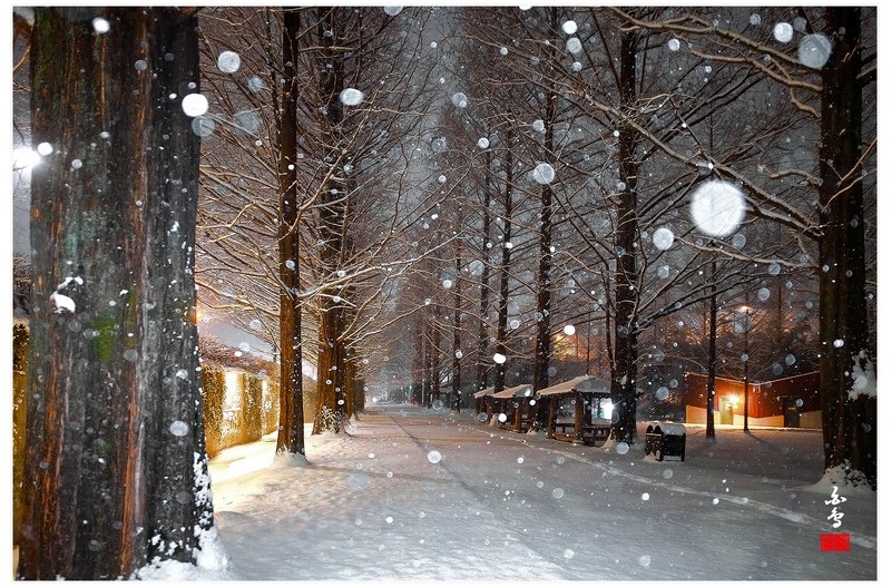 함박눈 내리는 밤