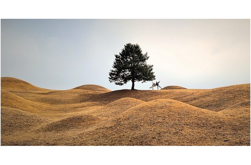 아름다운 연인들의 몸짓